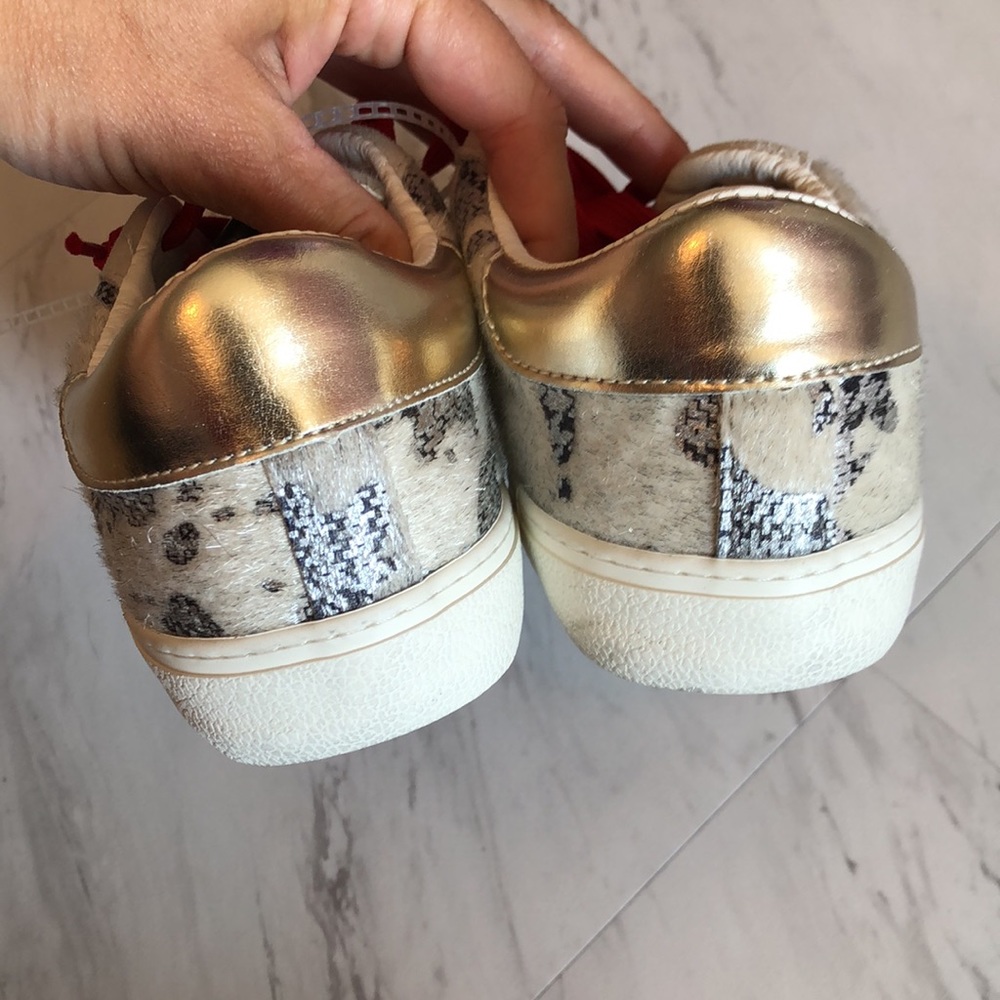 Steve Madden Philosophy low top star sneakers 7 - Picture 8 of 12
